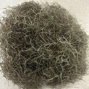 New Orleans Spanish Moss Decor